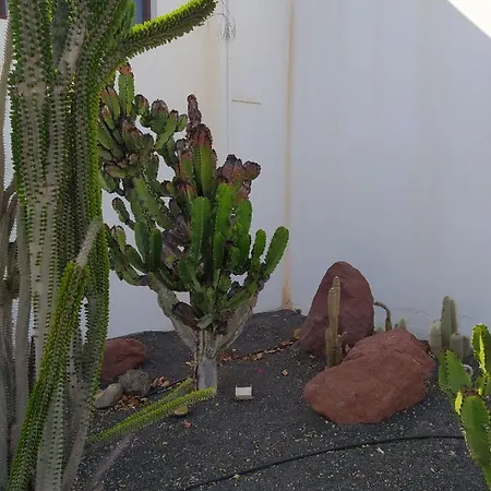 Villa Under The Volcano In Playa Blanca Playa Blanca (Lanzarote)